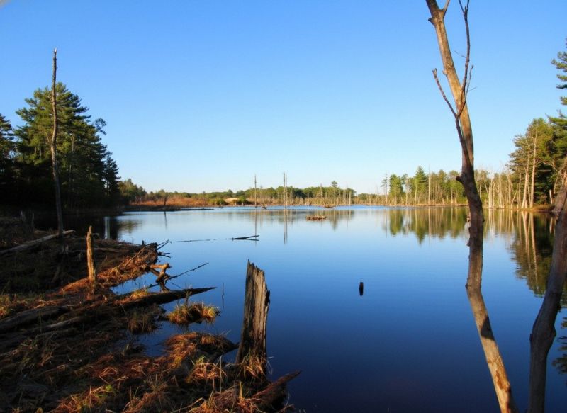 Center Ossipee, NH
